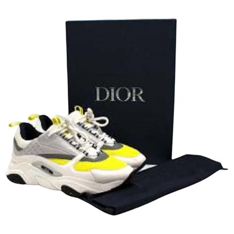 dior basket b22